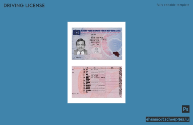 Belgischer Führerschein 2019-heute – Beispielvorschau